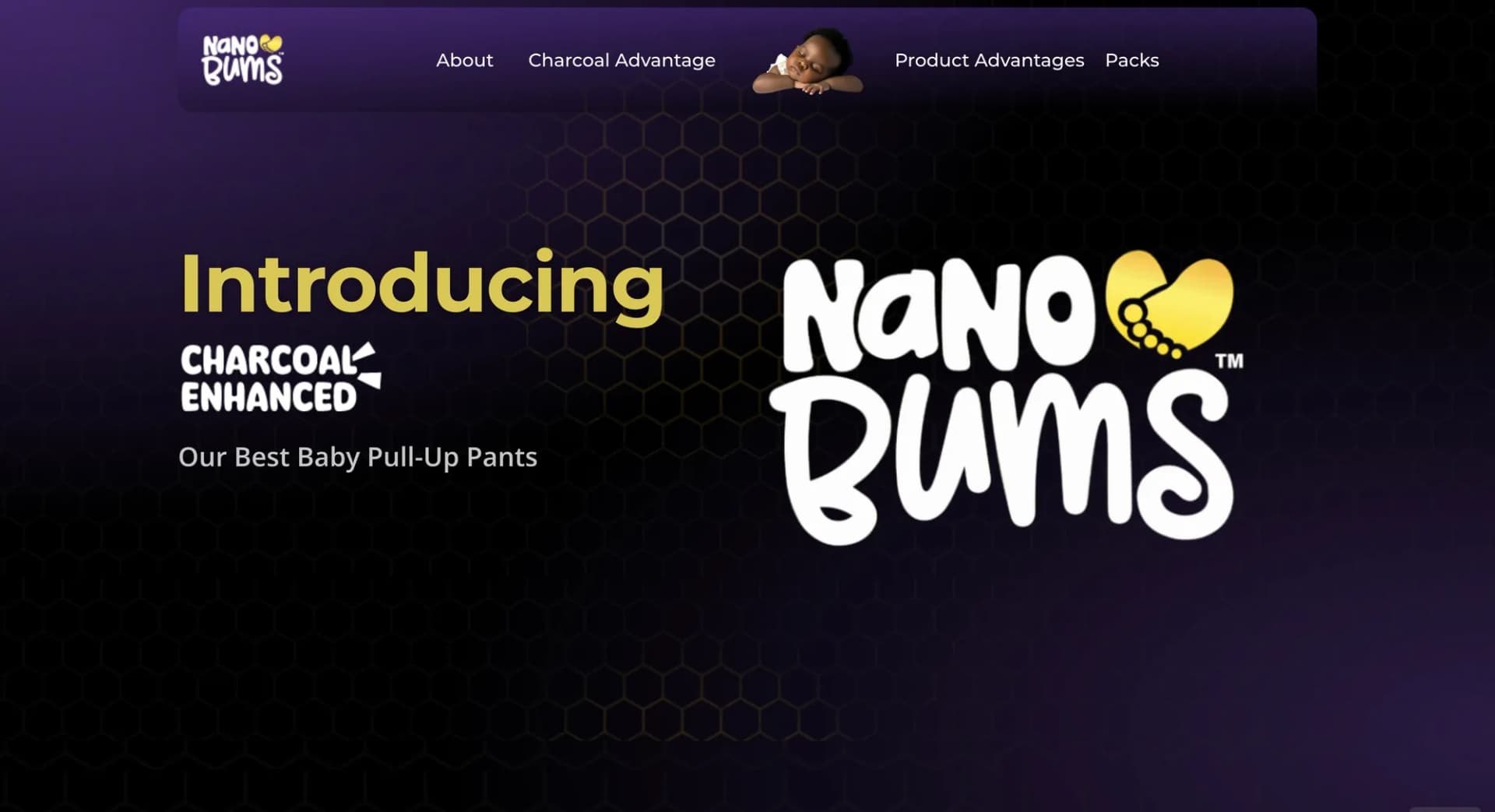 Nano Bums website homepage
